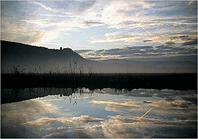 Regionalgruppe Rhön-Grabfeld Landesverband Niere e.V. Bayern